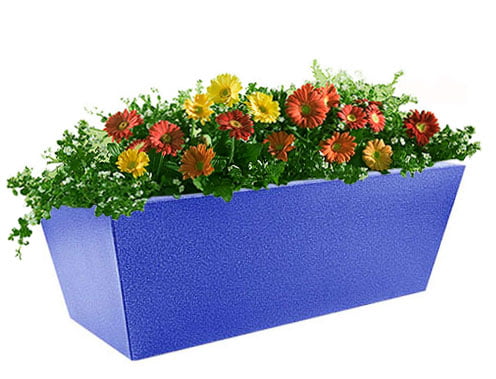 <span style="margin: 0px 0px 5px 0px; font-weight: 600;">R-1263</span><br />Window-Boxes